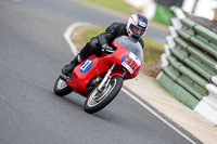 Vintage-motorcycle-club;eventdigitalimages;mallory-park;mallory-park-trackday-photographs;no-limits-trackdays;peter-wileman-photography;trackday-digital-images;trackday-photos;vmcc-festival-1000-bikes-photographs